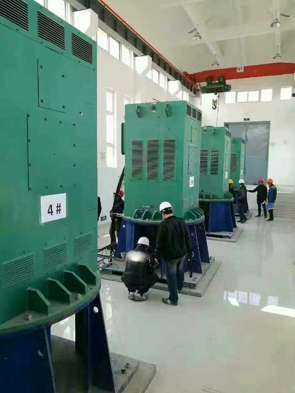 江华某污水处理厂使用我厂的立式高压电机安装现场